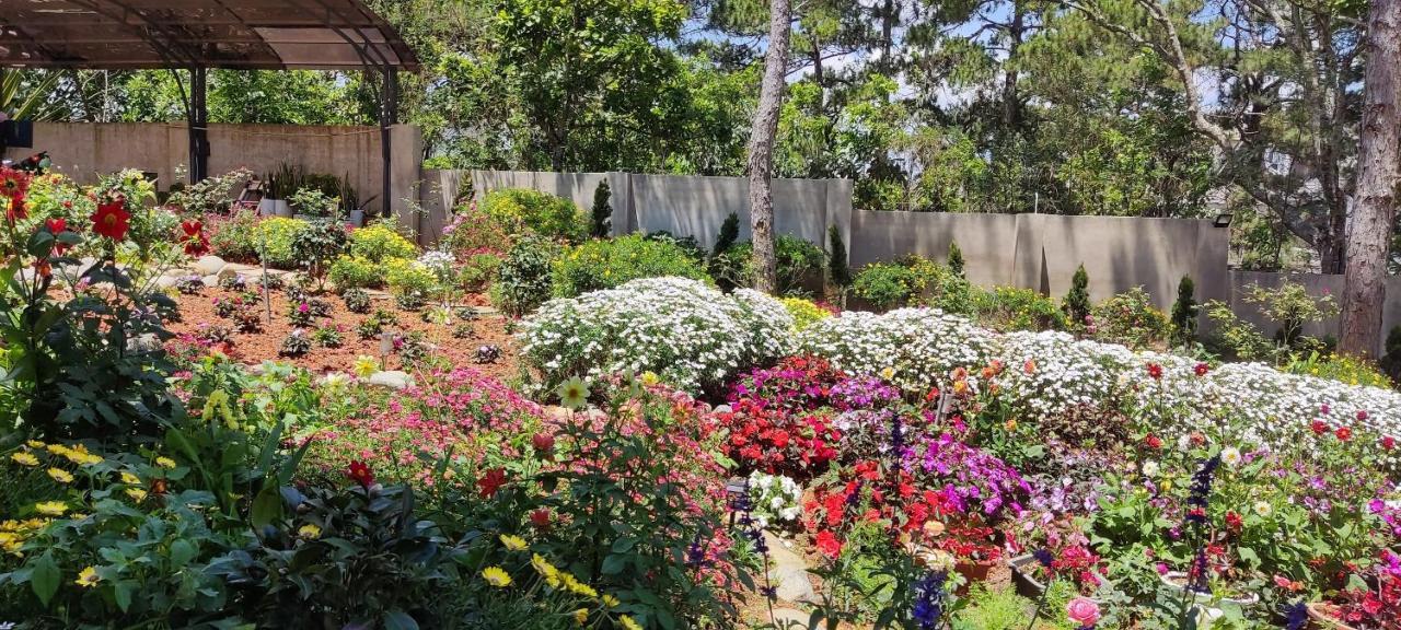 Bach Tra Villa Da Lat Zewnętrze zdjęcie